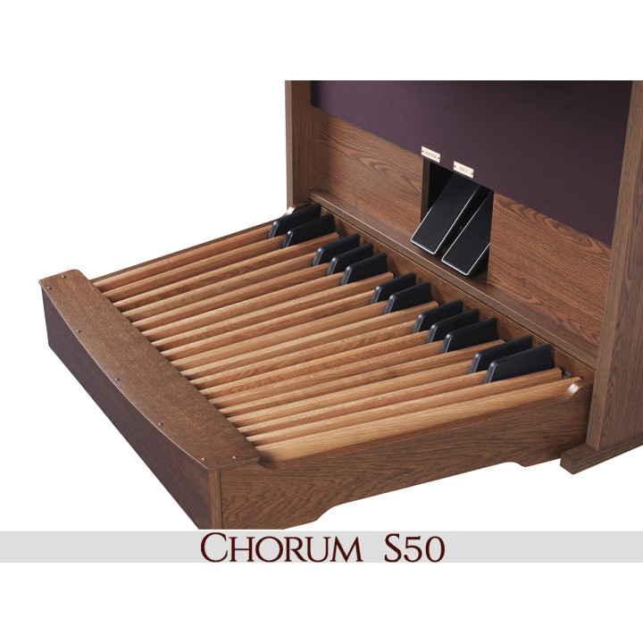 Viscount Chorum 50 Dlx | Merula Strumenti Musicali