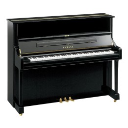 Acquista YAMAHA U1QPE online | Merula Strumenti Musicali
