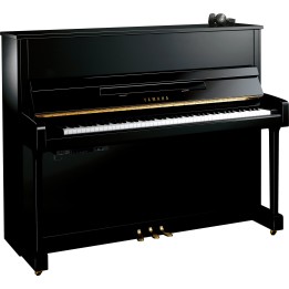 Acquista YAMAHA B3ESC2PE online | Merula Strumenti Musicali