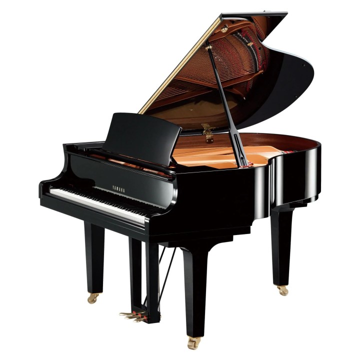 Acquista YAMAHA C1XPE online | Merula Strumenti Musicali