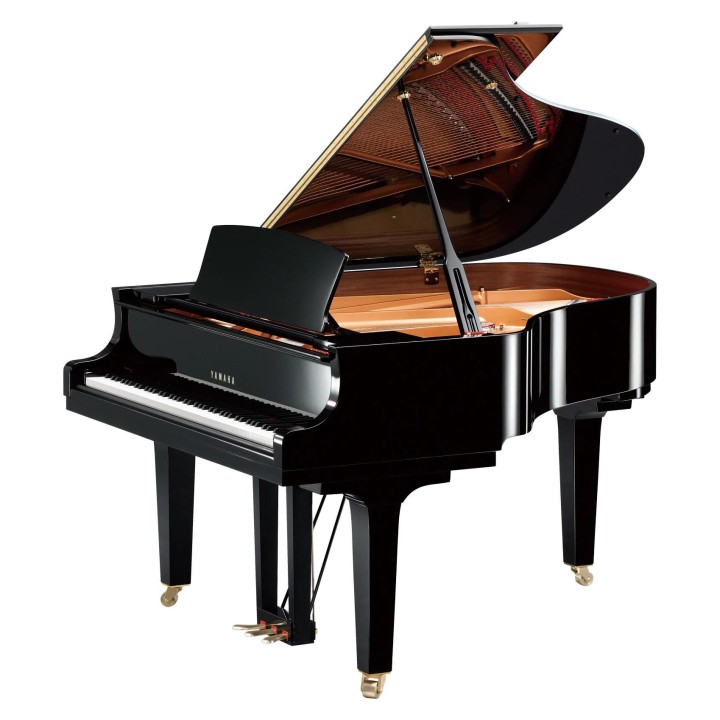 Acquista YAMAHA C2XPE online | Merula Strumenti Musicali