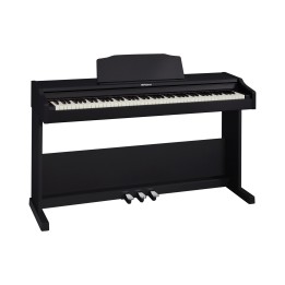Acquista ROLAND RP102-BK online | Merula Strumenti Musicali
