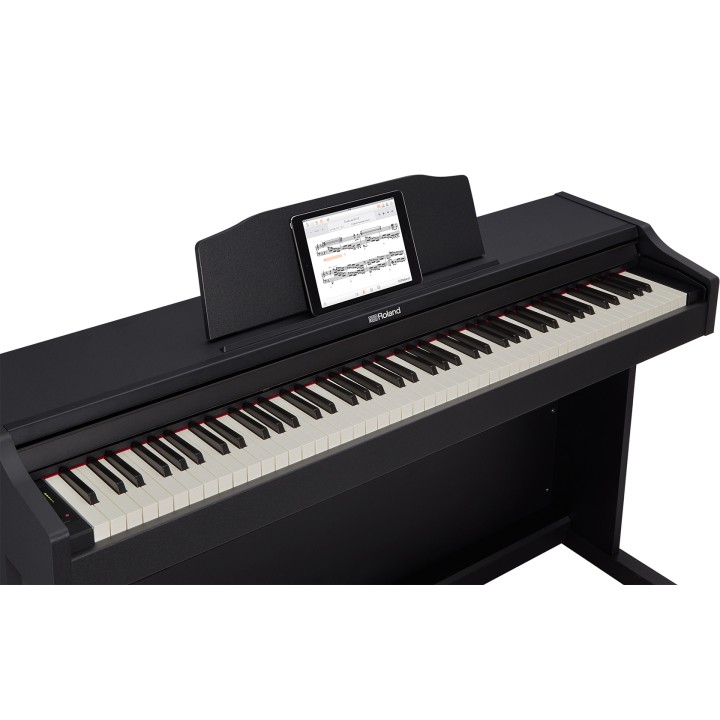 Acquista ROLAND RP102-BK online | Merula Strumenti Musicali