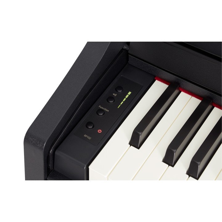 Acquista ROLAND RP102-BK online | Merula Strumenti Musicali