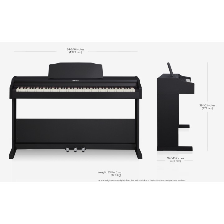 Acquista ROLAND RP102-BK online | Merula Strumenti Musicali