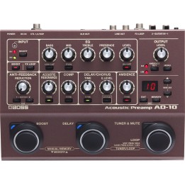 Acquista BOSS Ad-10 online | Merula Strumenti Musicali