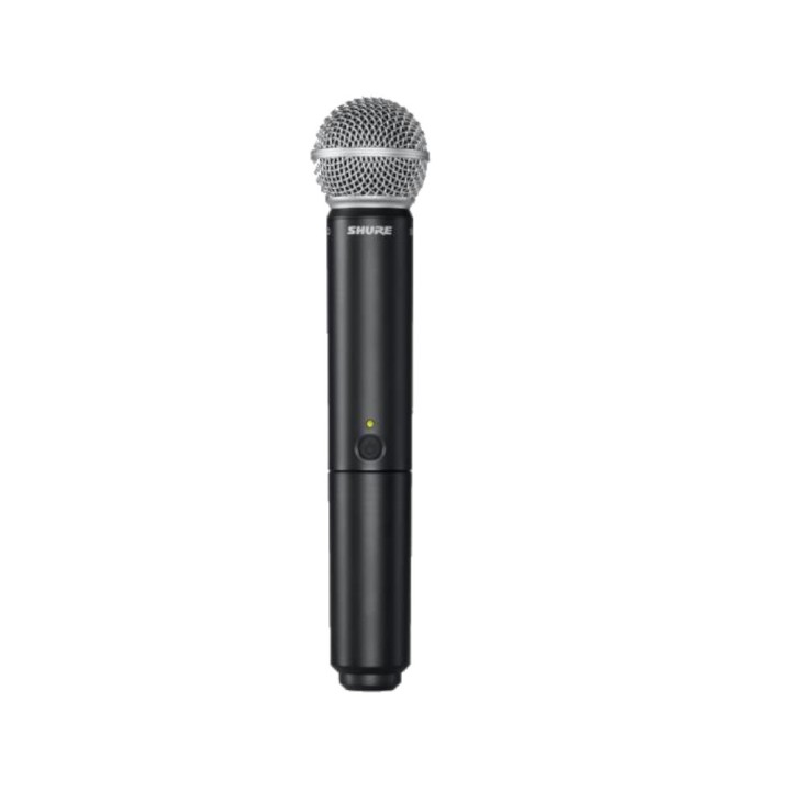 Shure - BLX24RE/SM58 M17