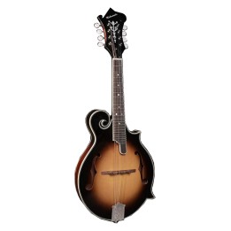 Acquista RICHWOOD RMF-60-VS online | Merula Strumenti Musicali