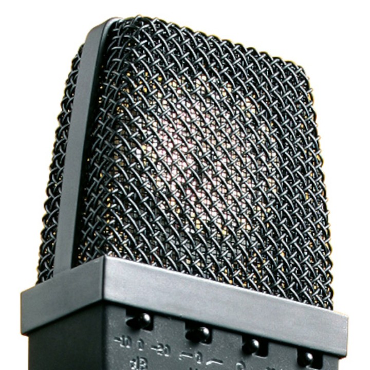 Acquista SE ELECTRONICS sE4400A | COPPIA STEREO online | Merula Strumenti Musicali