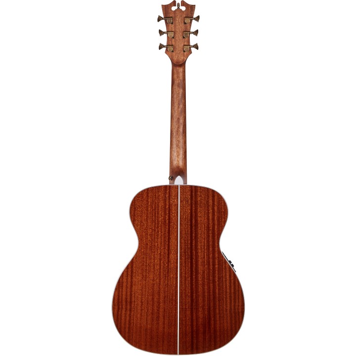 Acquista D'ANGELICO DAPOMITABAPS - PREMIER TAMMANY ICED TEA BURST online | Merula Strumenti Musicali