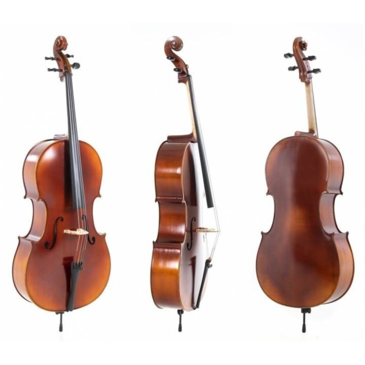 Acquista GEWA Gs4020512111 Cello Allegro-Vc1 online | Merula Strumenti Musicali