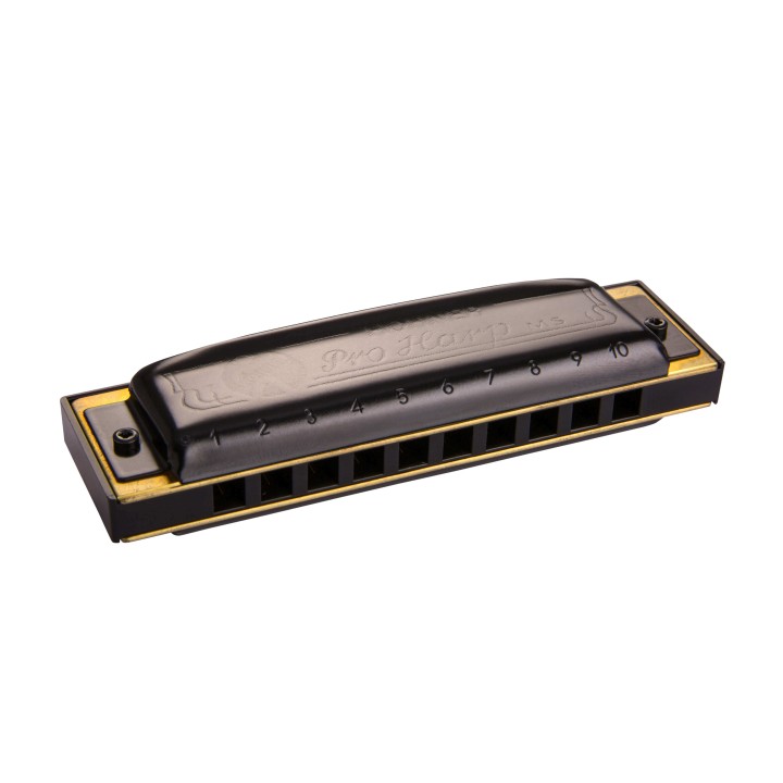 HOHNER | PRO HARP 562/20 B (SI)
