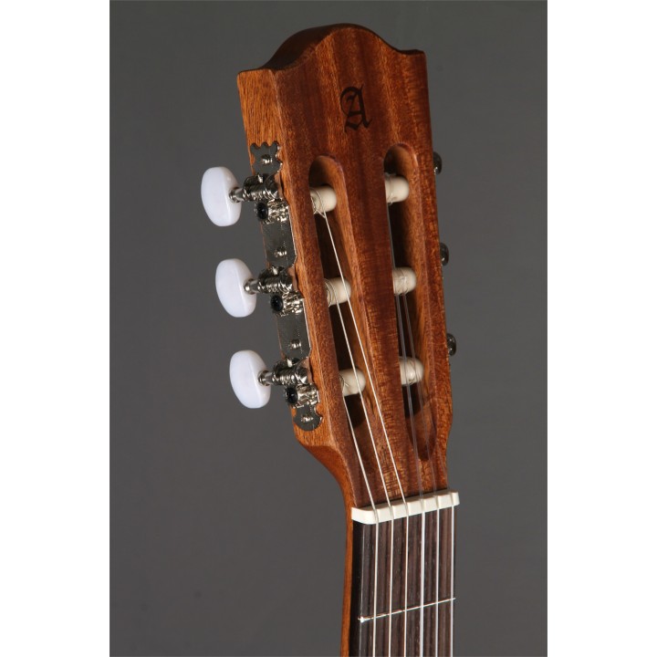Acquista ALHAMBRA Z - Nature Cw Ez online | Merula Strumenti Musicali