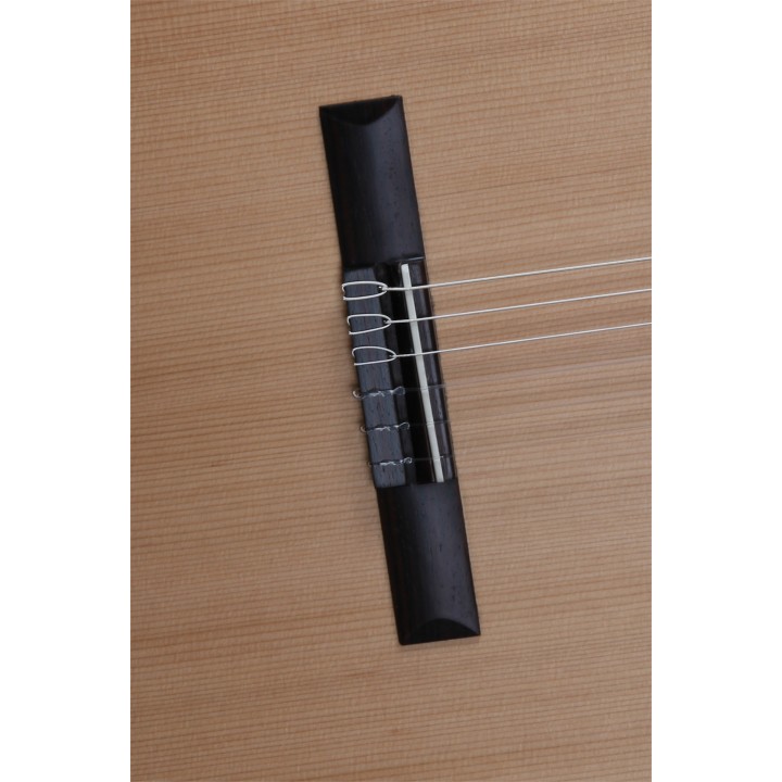 Acquista ALHAMBRA Z - Nature Cw Ez online | Merula Strumenti Musicali
