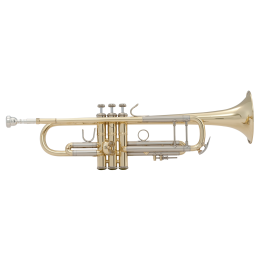 Acquista VINCENT BACH 180-37 STRADIVARIUS TROMBA SIB online | Merula Strumenti Musicali