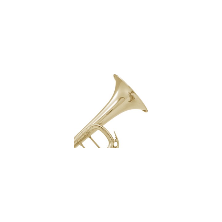 Acquista VINCENT BACH 180-37 STRADIVARIUS TROMBA SIB online | Merula Strumenti Musicali