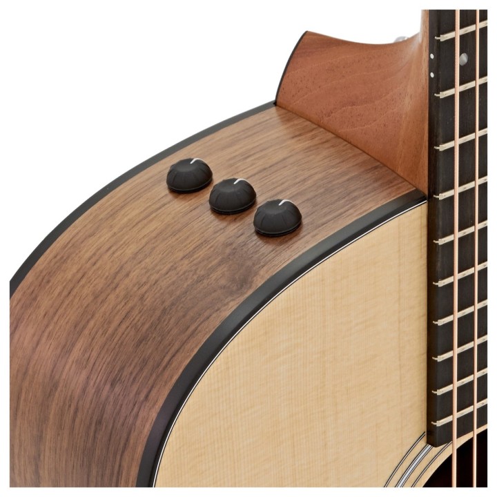 Taylor - 110e Lh