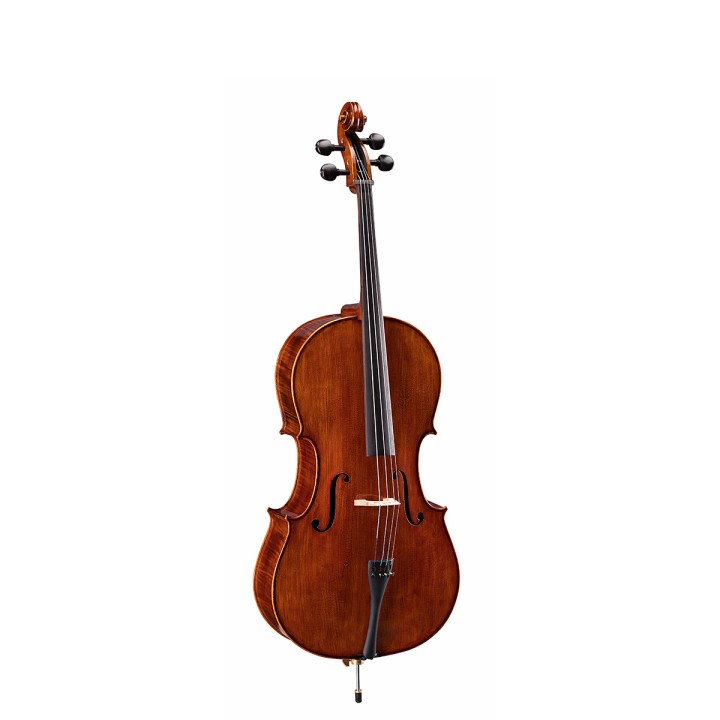 Acquista SOUNDSATION VPCE-SV12 violoncello 1/2 online | Merula Strumenti Musicali