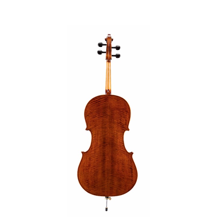 Acquista SOUNDSATION VPCE-SV12 violoncello 1/2 online | Merula Strumenti Musicali