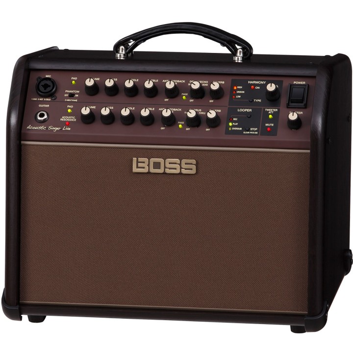 Boss - ACS-Live Acoustic Singer Live