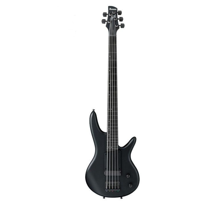 Acquista IBANEZ Gwb35-Bkf online | Merula Strumenti Musicali