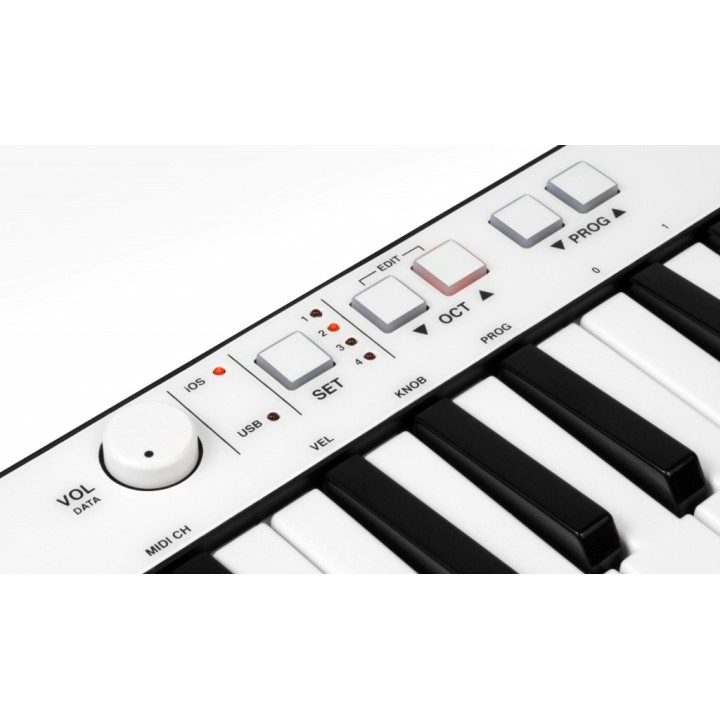 ik multimedia irig keys con lighting