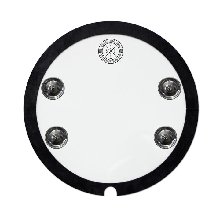 Big Fat Snare Drums Bourine 14" - Bfsd14Sb