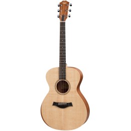 Taylor - ACADEMY 12E