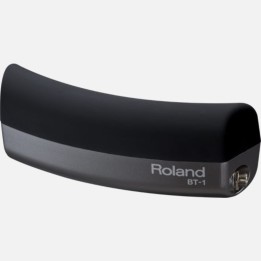 Roland - Bt-1