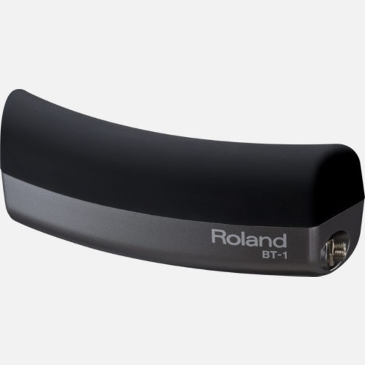 Roland - Bt-1