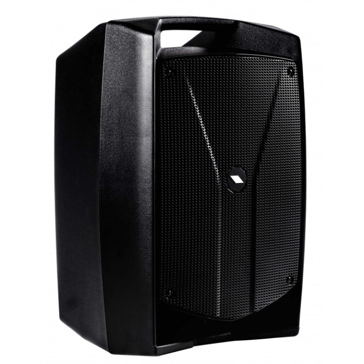 Acquista PROEL V10free online | Merula Strumenti Musicali