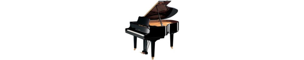 Tastiere e Pianoforti | Merula Strumenti Musicali