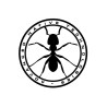 Ant